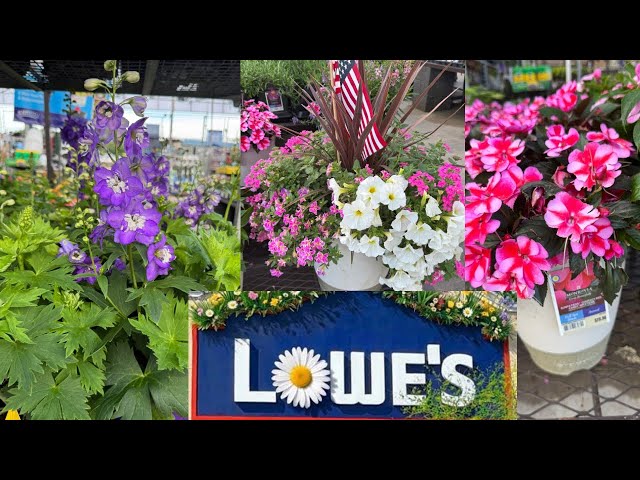 LOWES BEST NEW PLANTS ARRIVALS AND DEALS FOR SUMMER * HOW TO MAKE YOUR GARDEN BEAUTIFUL?