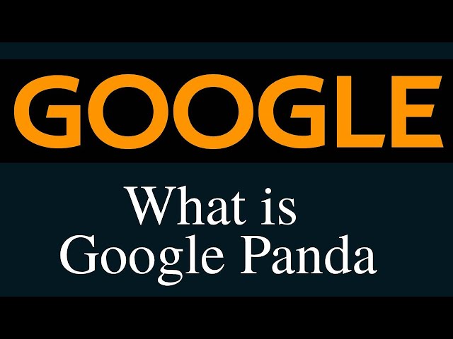 What is Google Panda ?