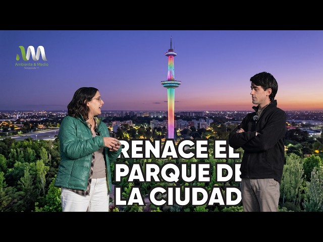 The City Park reborn: illuminated tower and the first urban forest using the Miyawaki method