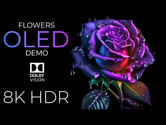 Blooming Flowers OLED Demo HDR 8K Ultra HD Dolby Vision™ 60fps