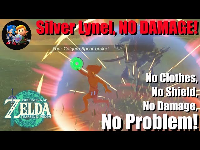 Naked, Silver Lynel, No Damage #totkgameplay #TOTK