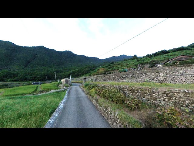 (8K･360°)【西条市】棚田を形づくる素晴らしい石垣 そして、自然に戻るということ／旧新居郡加茂村大字千町山･藤野石山[等速](2025.8.31)