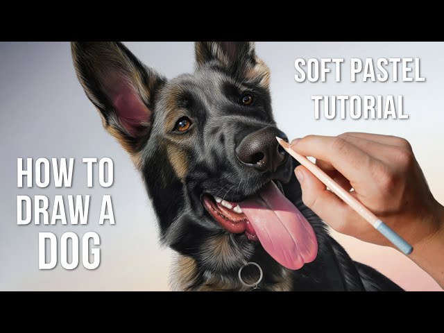 How to Draw a REALISTIC German Shepherd Dog using Soft Pastels | BEGINNER+