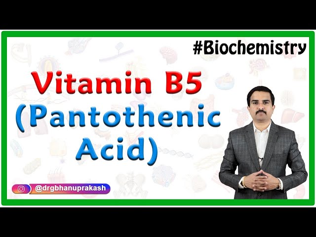 Vitamin B5 (Pantothenic Acid) - usmle Quick review