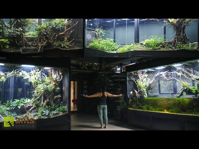 The World's Largest Home Ecosystem Setup - 2 YRS Later