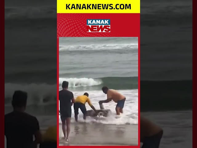 Shocking Scene At Puri: Lord Jagannath Idol Floats At Sea Beach | Kanak News Shorts