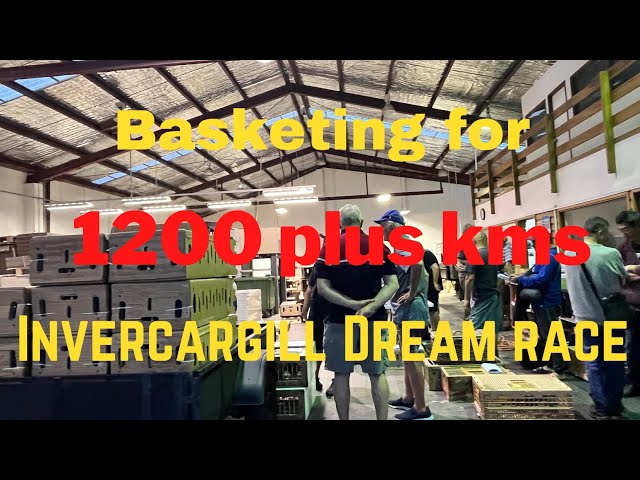 Basketing for the 1200 plus kms Invercargill DREAM race. Miles Loft NZ