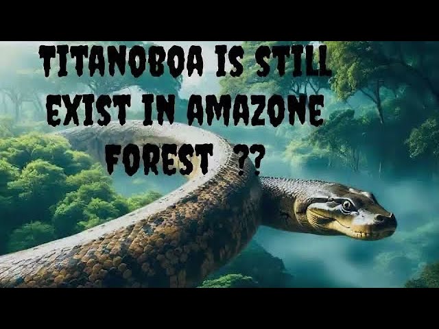 The world biggest snake titanoboa