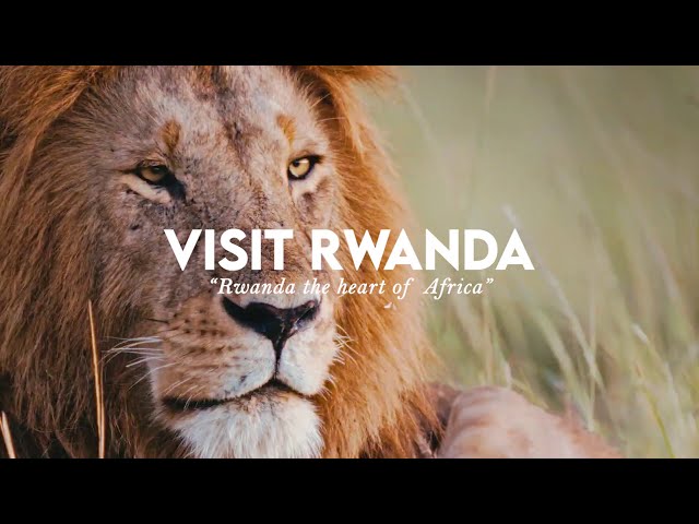 Oreste NIYONZIMA-VISIT RWANDA | Rwanda The Heart of Africa (Official visualizer)
