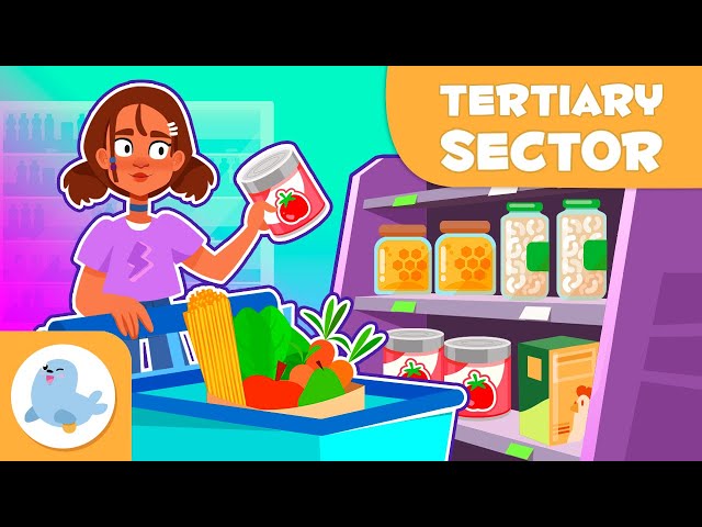 🏢 TERTIARY SECTOR for Kids 🚌💼 Services and Commerce 🏥🛒