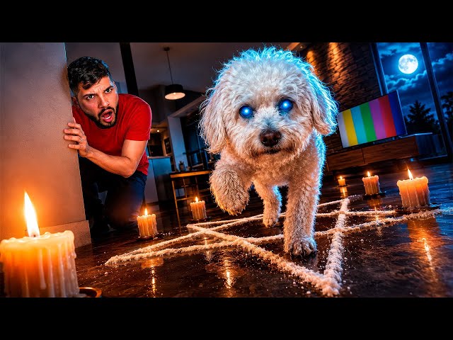 FINDING OUT IF OUR DOG IS A SKINWALKER* I got scared 😱😳