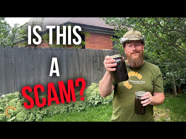 Is Compost Tea a Scam? The Truth No One Explains