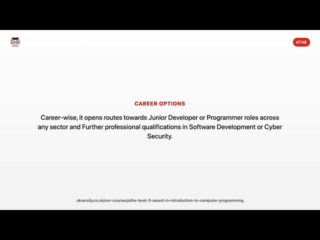 athe level 3 award in introduction to computer programming
