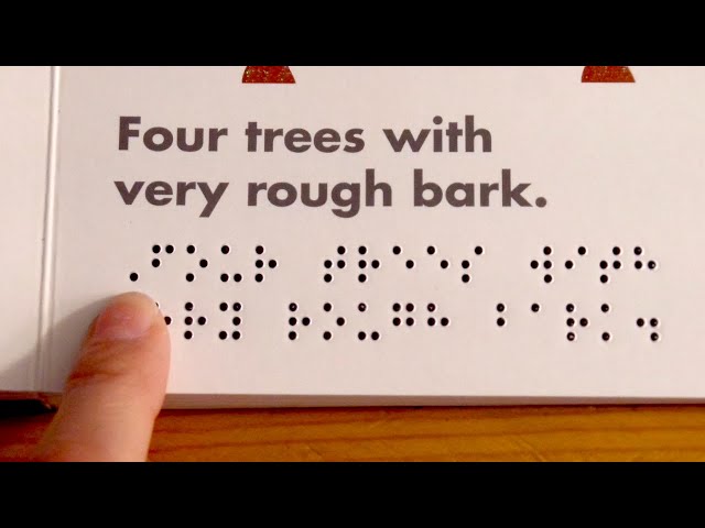 My Technique for Sight-Reading Braille