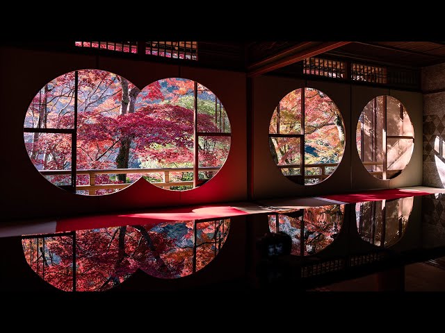 [3D Spatial Video] Autumn Colors of Kyoto | Canon RF-S 7.8mm F4 STM DUAL