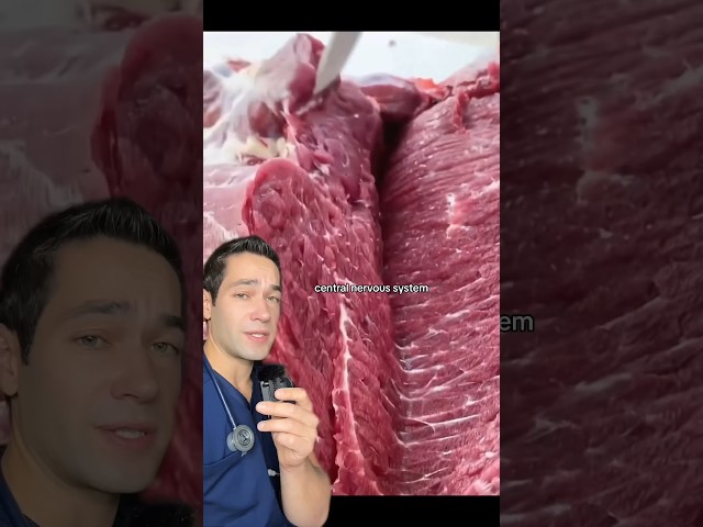 Doctor Reacts: squirming meat? 😳