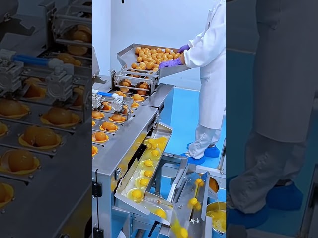 sweets production process in a factory