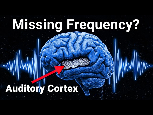 If your Tinnitus is RINGING all the time, Your brain is lacking this frequency