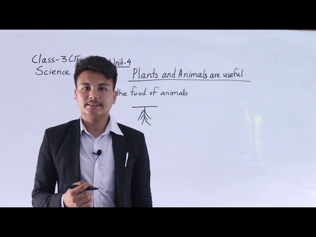 Class 3 Science, Plants & Animals are Useful