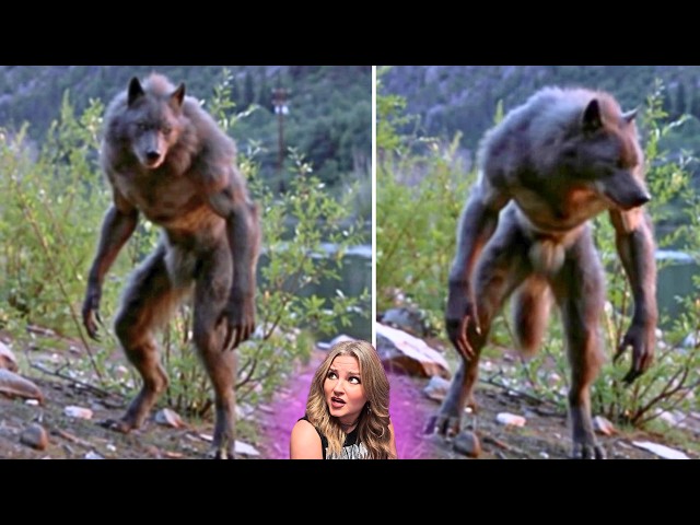 HORRIFYINGLY Disturbing CRYPTIDS, Paranormal, & MORE TERRORS Caught on Camera