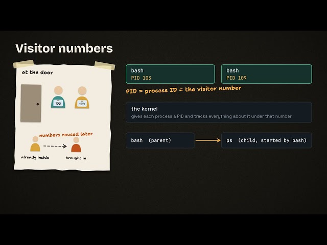 What is a Process in Linux? Program vs Process, and the PID | Linux Bites #1