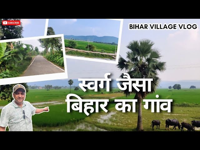 Bihar Village Vlog |  Monsoon in Bhagalpur | Green Village Life, Banana Farms & Ganga River View 🌿🌊