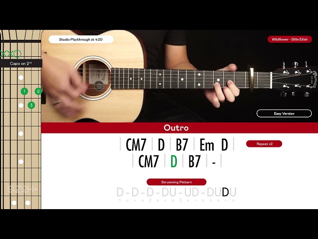 Wildflower Guitar Cover Billie Eilish 🎸|Tabs + Chords|
