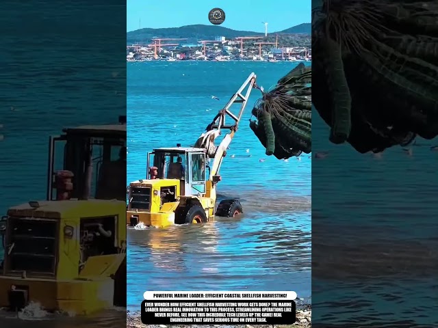 Powerful Marine Loader: Efficient Coastal Shellfish Harvesting! #innovation #work #process