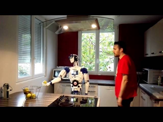 inmoov sensors démo