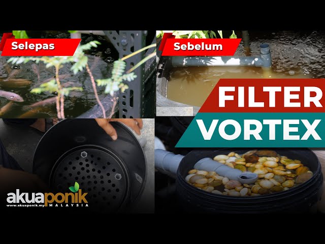 Cara Buat Filter Vortex Untuk Tangki Akuaponik Talapia & Lobster