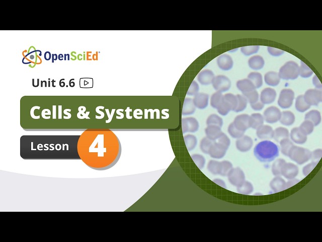 Unit 6.6 Lesson 4 Planning Video | OpenSciEd On-Demand Resources
