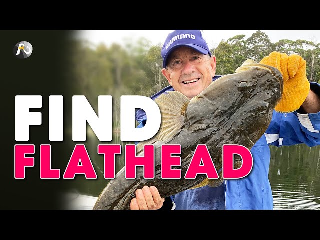 How You FIND FLATHEAD: Lake & Estuary Fishing!