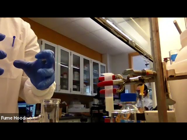 From Plants to Pure Drugs MOCK CLASS