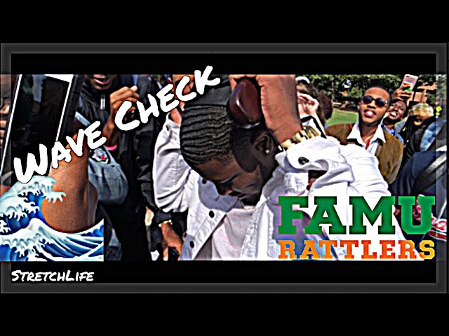 FAMU Wave Check Day