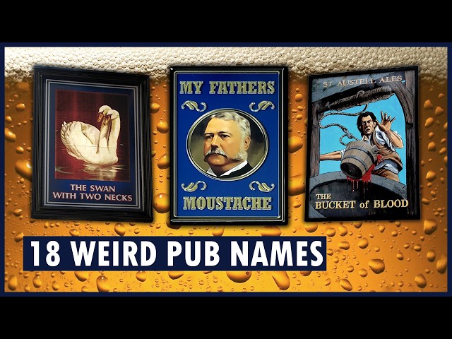 Britain's WEIRDEST pub names: what's a "Swan With Two Necks"? | PUB NAMES