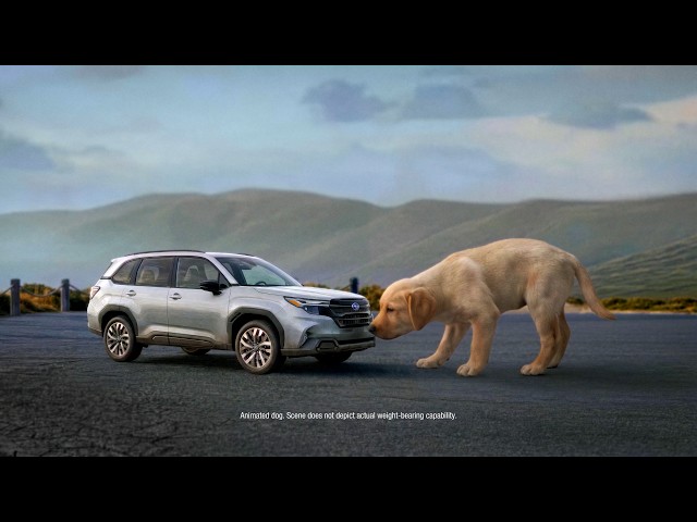 "BIG LOVE FOR THE SUBARU FORESTER” :15 SUBARU | CONSUMER REPORTS