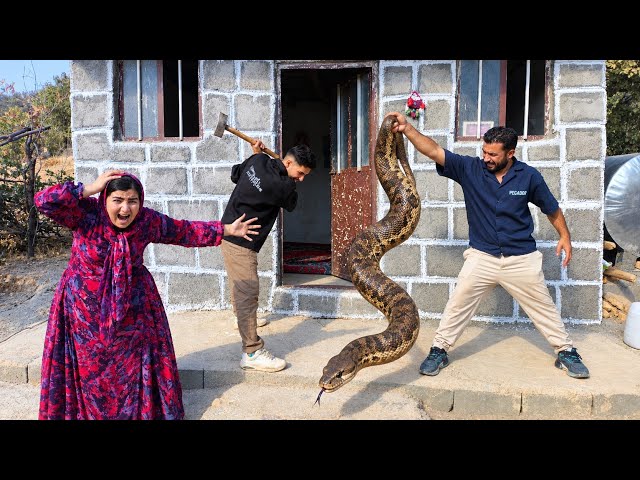 Fatemeh Was Shocked! Reza and Hossein Caught a Venomous Snake in Her Home