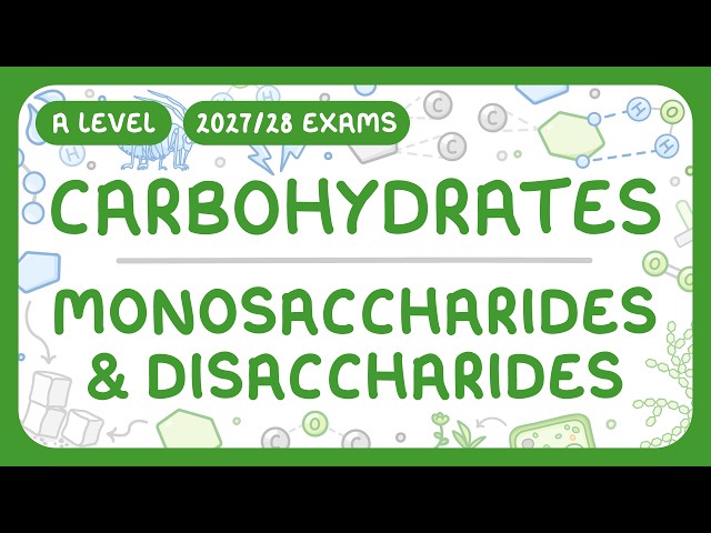 A-Level Biology - Carbohydrates: Monosaccharides & Disaccharides (2027/28 exams)