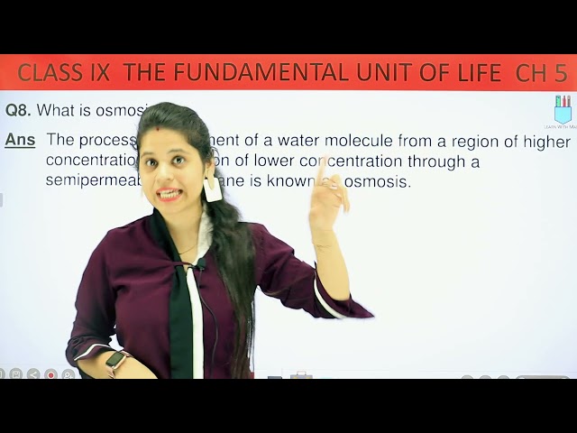 Back Exercise | Chapter 5 | The Fundamental Unit Of Life | Class 9 Science