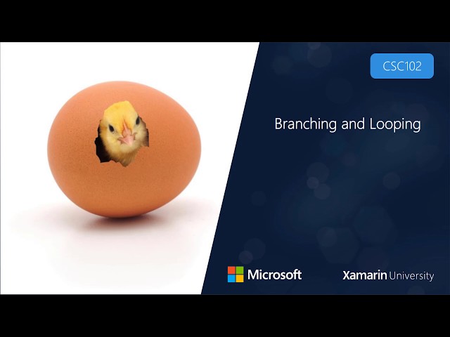 CSC102 - Branching and Looping