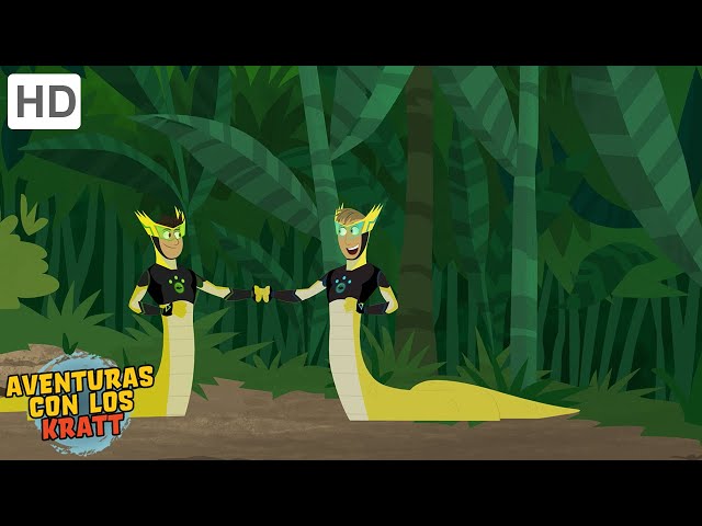 Aventuras Con Los Kratts | Para Tocar Un Colibrí | Episodio Completo | Temporada 2