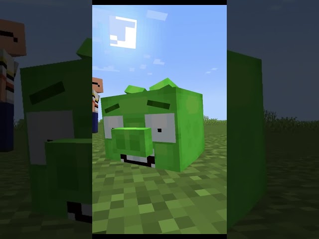Angry Birds invade Minecraft