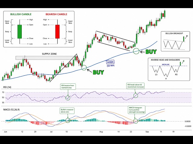 The ONLY Technical Analysis Guide You Will EVER Need... (Beginner to Advanced)
