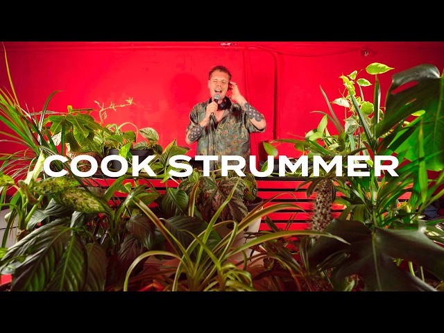 Indie dance and house tunes with plants by Cook Strummer Dj Set at Mom's Limousine Service, Berlin