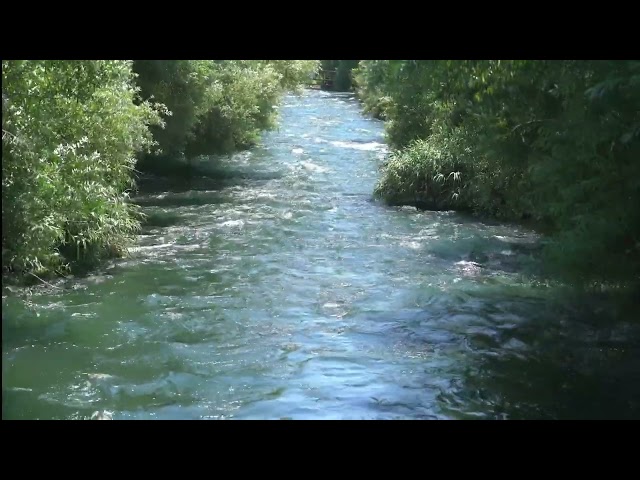 Nature Dynamic relaxation meditation......