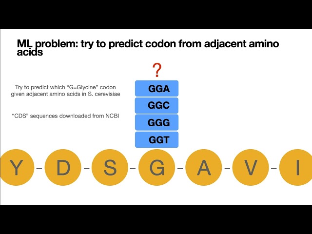 Codon optimization with machine learning