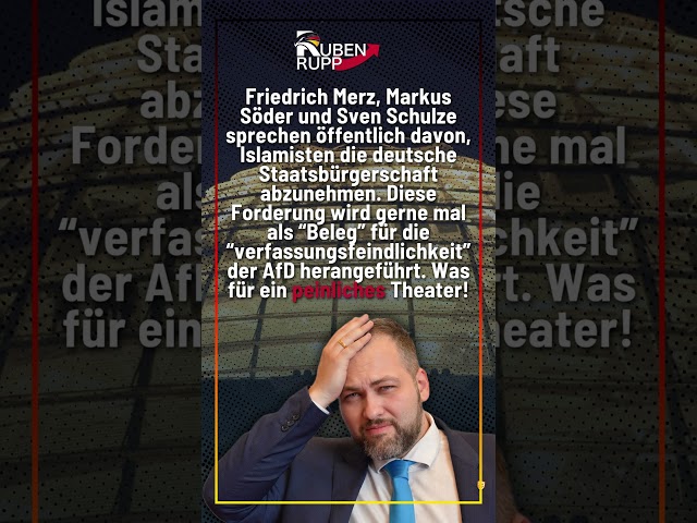 Alle fordern AfD Positionen #shorts #shortsfeed #shortvideo #afd #politik #deutsch #foryou #fyp