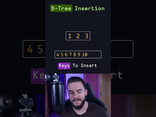 B-Tree Insertion Algorithm