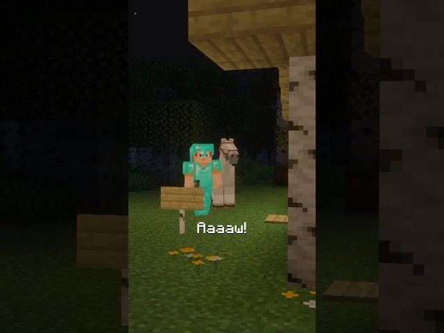 WHEN YOU FIND YOUR OLD HOUSE