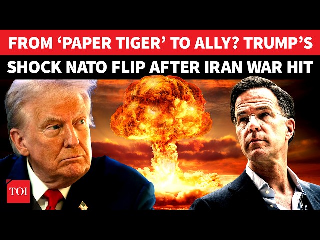 NATO ‘Paper Tiger’ No More? Trump’s SURPRISE U-Turn After Crushing Iran War Blow | Watch